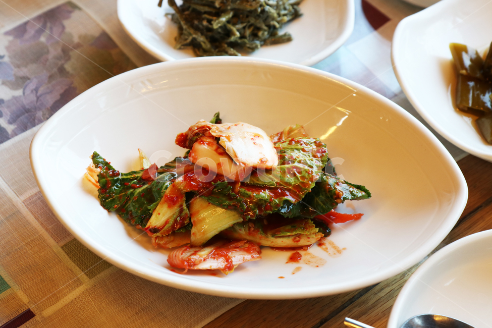 배추김치,김치,한식,반찬,음식,한국음식,음식,식재료,요리,food,cook,meal,dishes,food reserves,한식,한국음식,한국요리,korean food,korean dishes,korean meal,korean cook