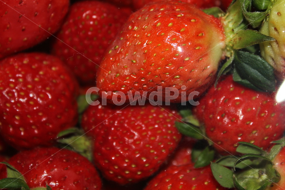 딸기,과일,음식,빨강,자연,음식,식재료,요리,food,cook,meal,dishes,food reserves,과일,열매,fruit