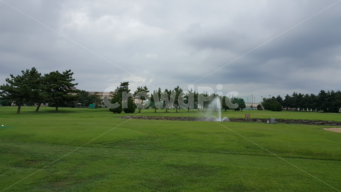 잔디,골프,자연,하늘,구름,자연,풍경,nature,landscape,plant,식물,grass