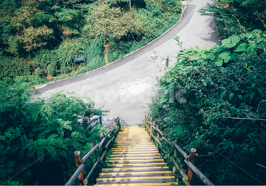 숲,계단,색채,산책,여름,봄,가을,따뜻,청량,녹색,숲길,길,풀,cloud,Emotion,Overpass,walk,Blue,cool,feeling,자연,풍경,nature,landscape,outdoors,옥외,building,건물