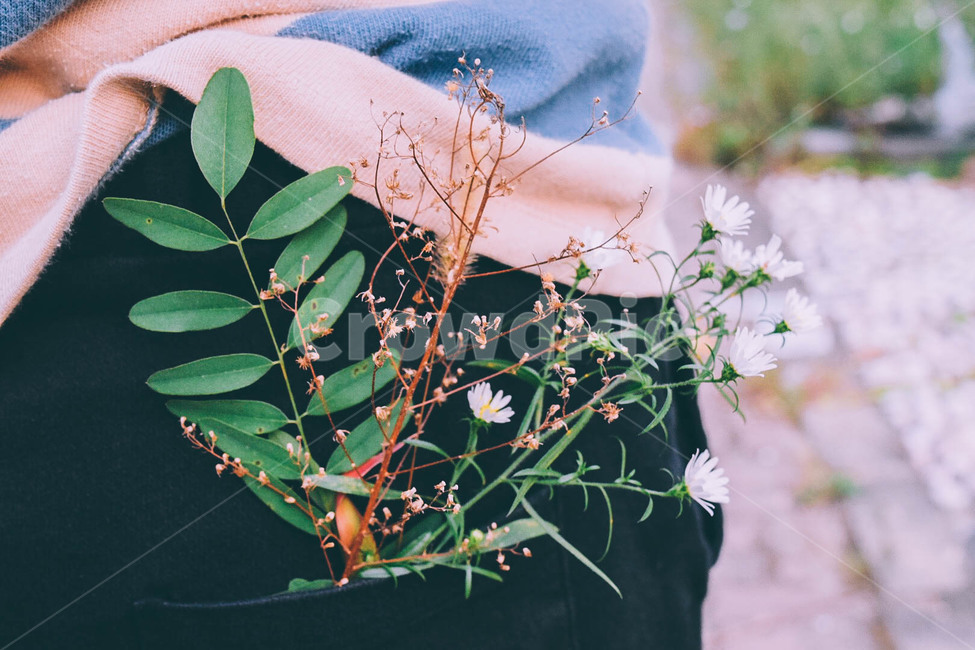 꽃,풀,나뭇잎,부케,꽃다발,주머니,남자,친구,연인,가을,flower,nature,하얀꽃,사랑,식물,자연,plants,nature,꽃,flower,감성,sensible,feeling