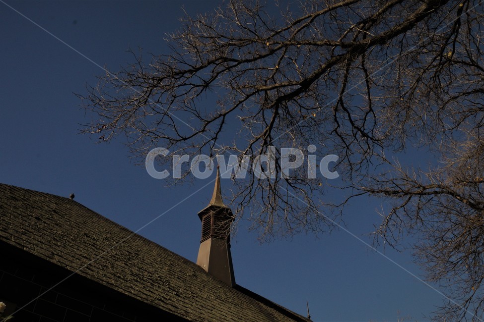 나무,지붕,굴뚝,하늘,파랑,tree,roof,chimney,sky,blue,감성,pastel,pastelcolor,color