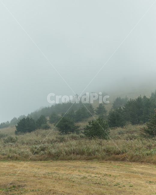 자연,안개,구름,제주도,비,산,숲,자연,풍경,nature,landscape,weather,날씨,outdoors,옥외
