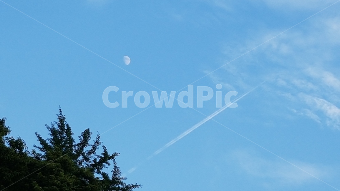 달,하늘,비행기,파란색,파랑,나무,자연,현대,날씨,weather,airplain,moon,blue,sky,cloud