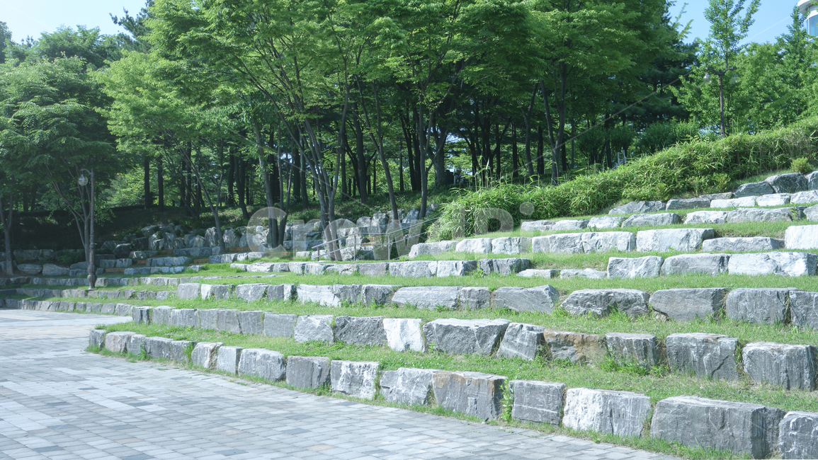 나무,자연,돌계단,계단,공원,야외,배경화면,풍경,식물,돌,stair,stone,stonestair,rock,park,outside,background,landscape,plants,wood