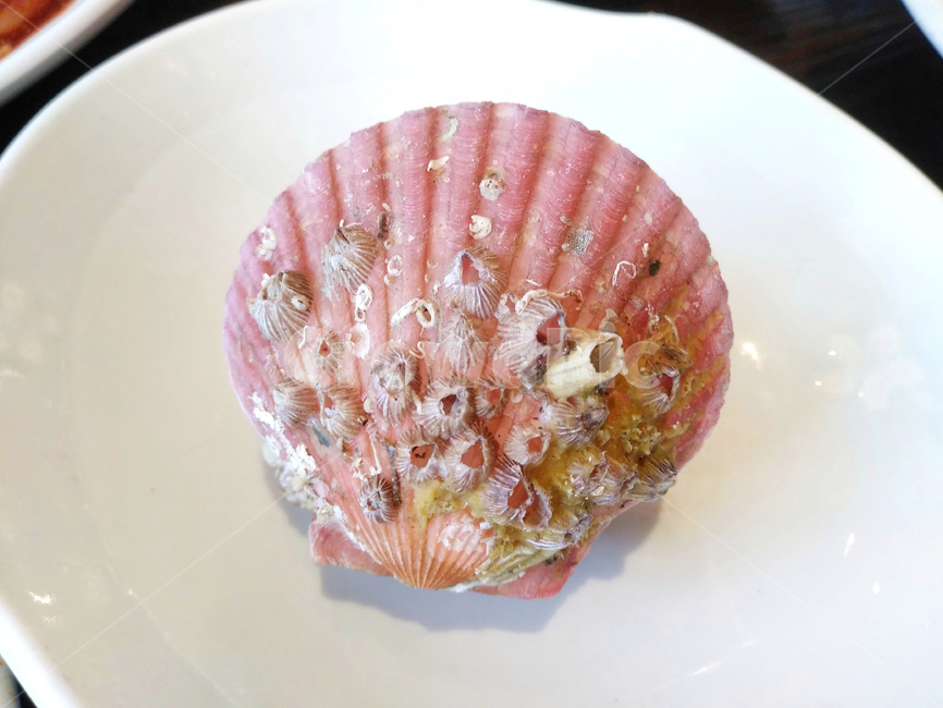 조개,조개껍질,해산물,접시,음식,shell,food,plate,수산물,해산물,fishery products,seafood