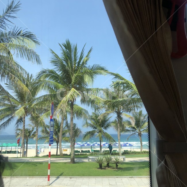 휴양지,야자수나무,창밖,해수욕장,휴양,휴가,바다,sea