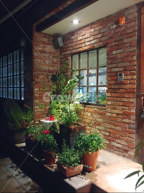 벽,창문,화분,조명,카페