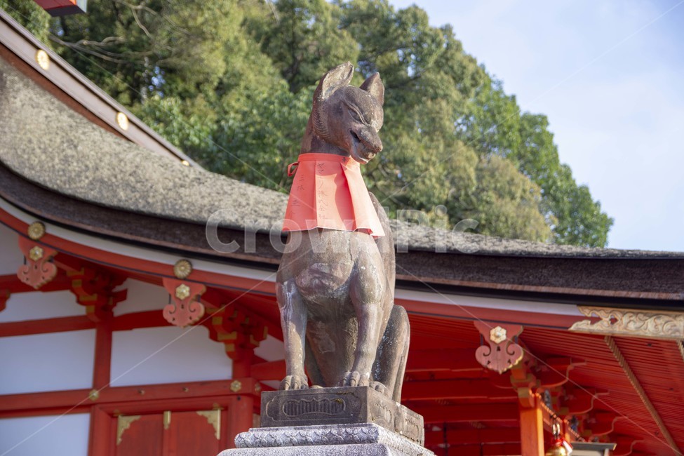 building,건물,architecture,건축물,temple,신사,shrine