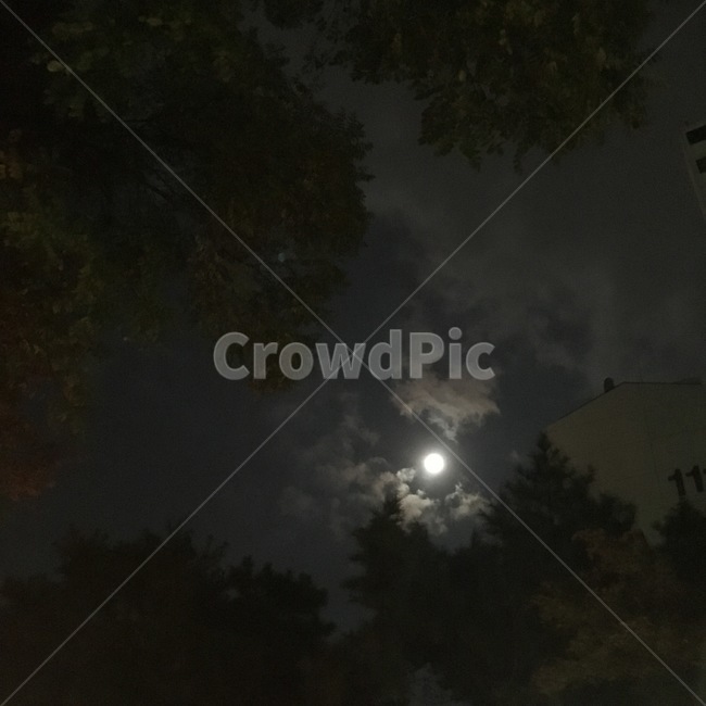 달,하늘,구름,자연,감성,야경,밤,풍경,nightscape,night,landscape,nature,outdoors,옥외