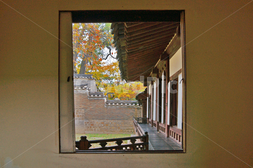 창덕궁,궁궐,조선시대,유네스코세계문화유산,창,문,한국전통,한국문화,korean traditional,korean culture,건축물,건물외관,exterior,building,structure,architecture,construction