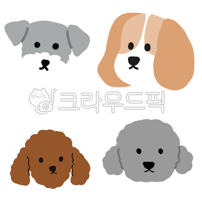 강아지,애견동물,동물,개,강아지이미지,푸들,단순한강아지,강아지얼굴,댕댕이,반려견,애완견,갈색강아지,토이푸들,강아지일러스트