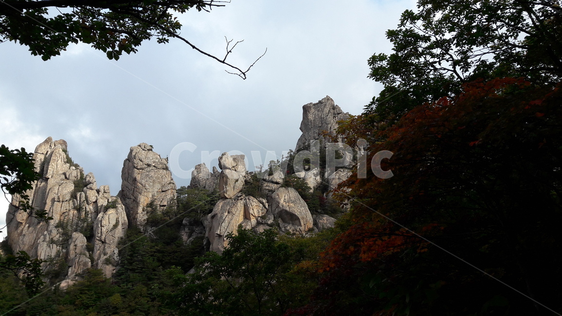 설악산,봉정암,단풍,가을,용아장성,수렴동계곡,가을,계절,fall,autumn,season,자연,풍경,nature,landscape,한국자연풍경,한국자연경관,korea nature landscape,cliff,낭떠러지,outdoors,옥외