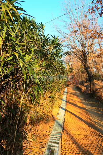 통로,자연,풍경,road,산책,자연,풍경,nature,landscape,도로