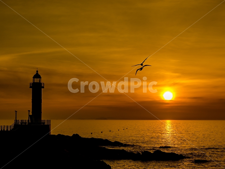 풍경,노을,일몰,해안,석양,바다,등대,lighthouse,동물,animal,조류,새,birds,실루엣,그림자,silhouette,shadow