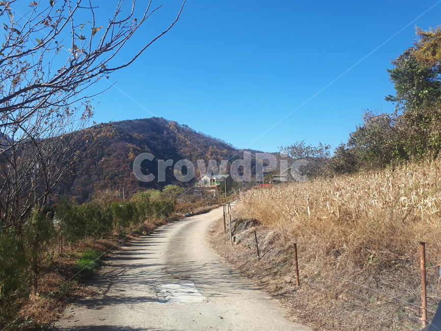 풍경,도로,시골길,흙길,자연