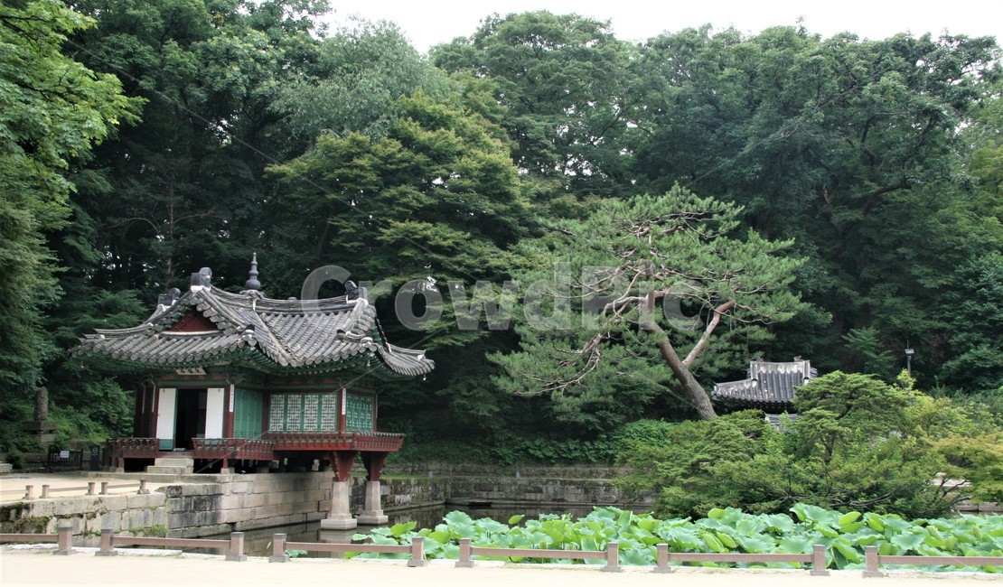 창덕궁후원,비원,창덕궁,송파문화원,서울5대궁궐,한국전통,한국문화,korean traditional,korean culture,건축물,건물외관,exterior,building,structure,architecture,construction