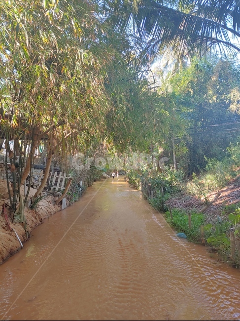 ditch,도랑,garden,정원,자연,길,나무,nature,road,tree