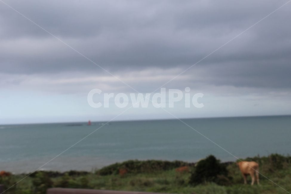 nature,자연,outdoors,옥외,바다,sea,ocean,해양,물,water,하늘,sky,구름,풀,grass,제주,제주도,자연,풍경,nature,landscape,architecture,건축물,building,건물,tower,탑