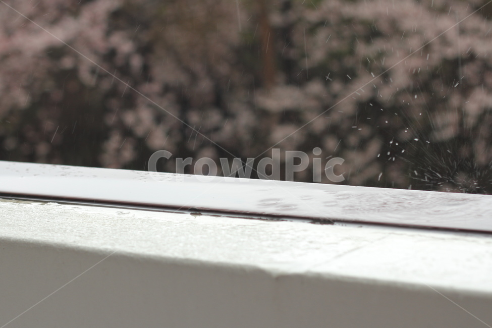 물방울,비,빗방울,rain,raindrop,spring,봄비,비,비오는날,rain,rainy