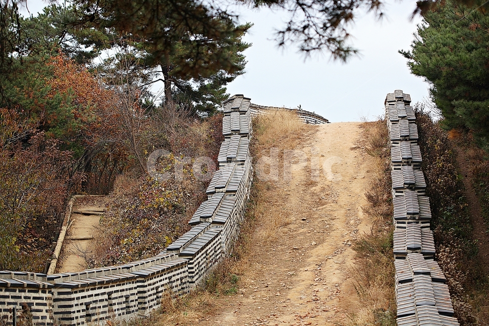 남한산성,성,성곽,단풍,낙엽,길,둘레길,숲,숲길,담,돌담,가을,자연,풍경,벽,울긋불긋,산성,식물,가을,계절,fall,autumn,season
