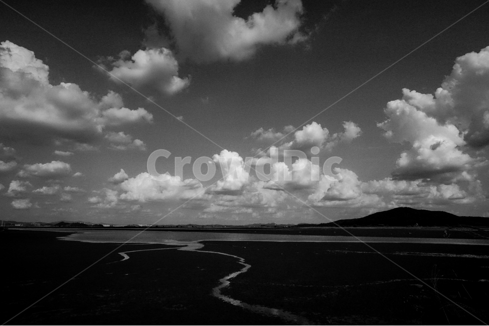 바다,갯골,물길,갯벌,하늘,구름,모노톤,흑백,자연,풍경,nature,landscape,흑백,모노톤,monochrome,black and white,weather,날씨,outdoors,옥외,cloud,sky,cumulus,적운