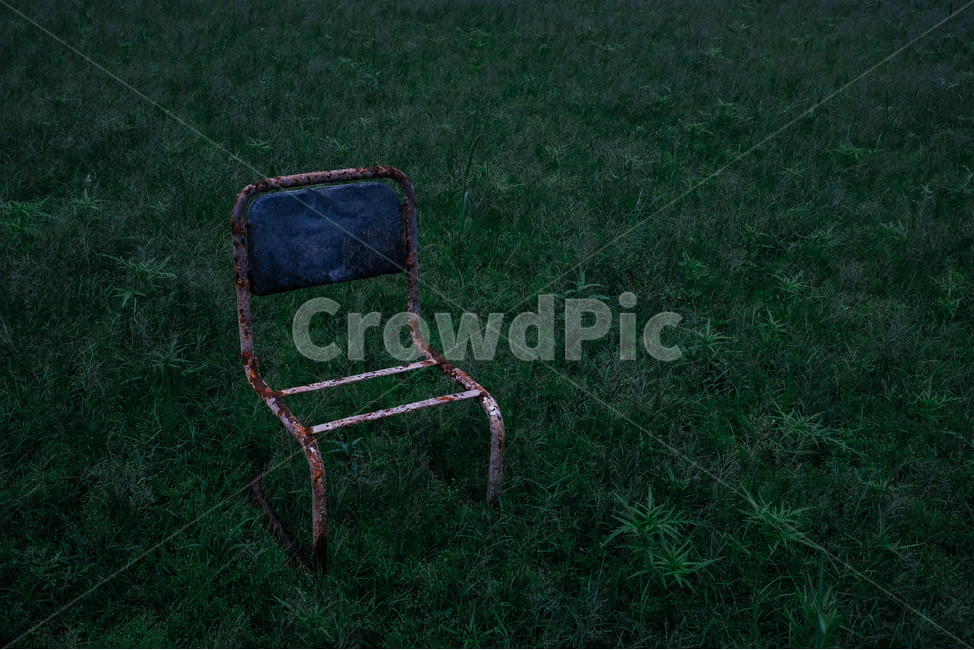 가구,chair,의자,잔디,식물,가뭄,빈티지사진,빈티지느낌,빈티지감성,vintage