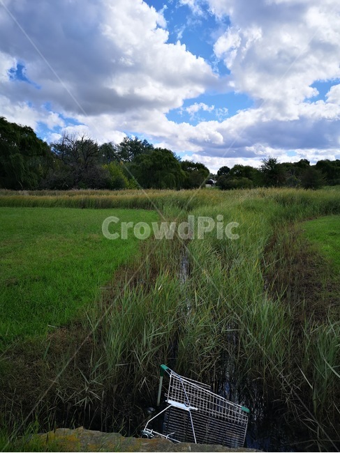 nature,outdoors,field,grassland,목초지,자연,옥외,들