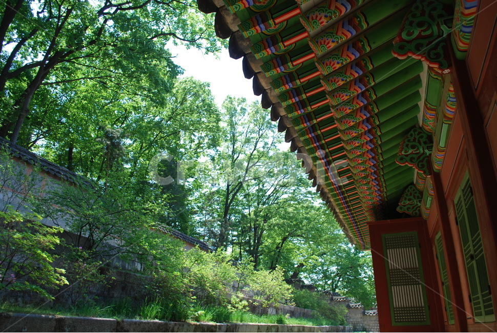 창덕궁,후원,단층,신록,조화,자연,풍경,nature,landscape,한국자연풍경,한국자연경관,korea nature landscape,한국전통,한국문화,korean traditional,korean culture,건축물,건물외관,exterior,building,structure,architecture,construction,outdoors,옥외,garden,정원,arbour,정자,patio,안마당,porch,현관