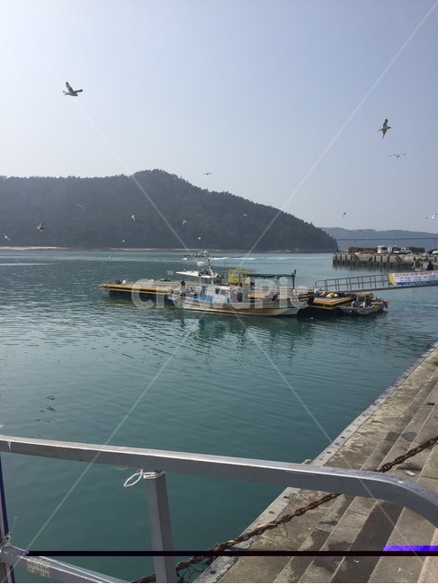 선박,watercraft,배,ship,항구