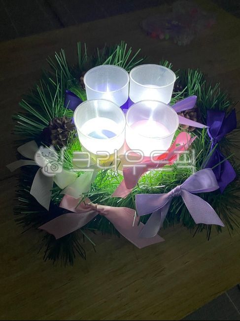 Advent candles,plant,Advent