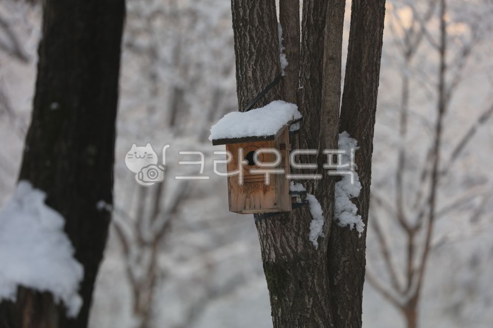 snowflake,birdhouse,snow scene,tree branch,heavy snow,tree,winter,white snow,snow,winter birdhouse,snow snow,park
