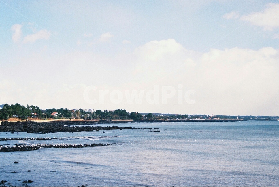 nature,자연,바다,제주바다,제주도,필름사진,필름카메라,자연,풍경,nature,landscape