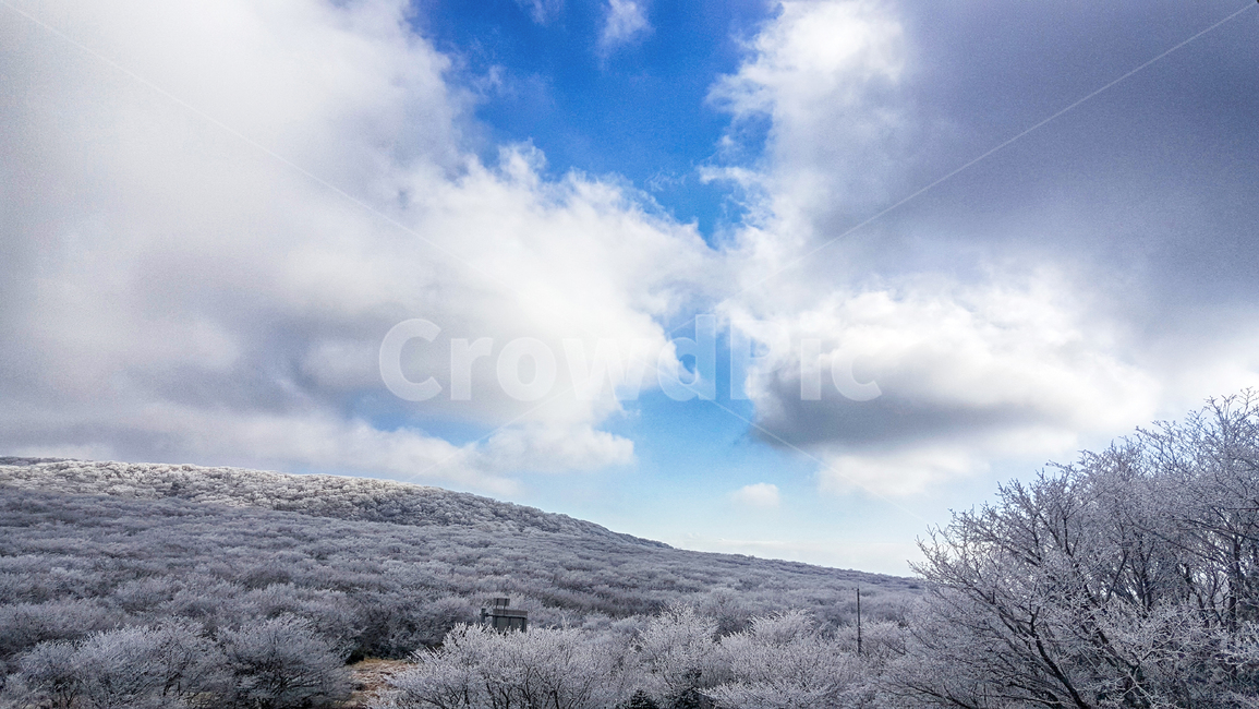 제주도,한라산,1100고지,한라산1100고지,설경,눈꽃,겨울,자연,옥외,눈,nature,outdoors,snow,풍경,겨울풍경,겨울,계절,winter,season,자연,풍경,nature,landscape