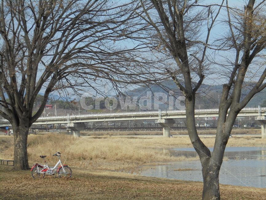 자연,자연물,하늘,구름,풀,땅,햇빛,흙,nature,tree,sky,sun,나뭇가지,공기,air,자연,풍경,nature,landscape,tree trunk,나무 줄기,plant,식물,나무,bike,자전거,vehicle,차량,transportation,교통,bicycle,machine,기계,wheel,바퀴