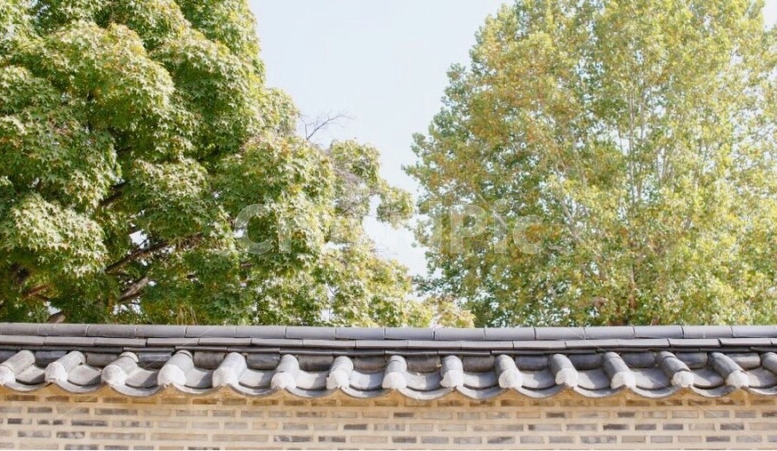 나무,가을,한옥,전통,봄,기와,한국문화,자연,Koreantraditional,Koreanculture,건축물,궁궐,화성,봄,계절,spring,season,한국전통,한국문화,korean traditional,korean culture,건축물,건물외관,exterior,building,structure,architecture,construction,roof,지붕