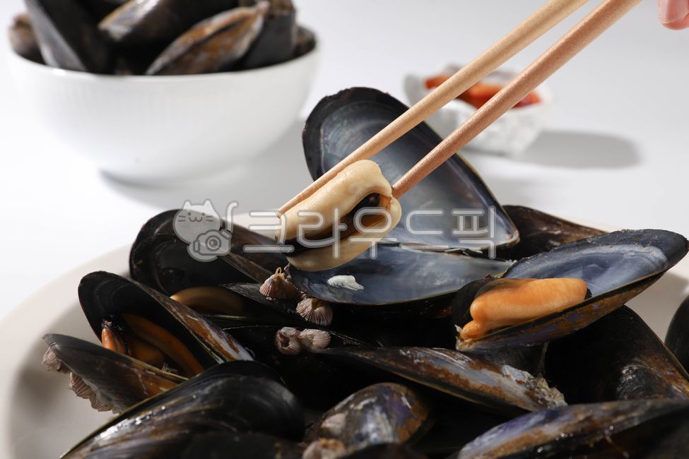 홍합,수산물,바다생물,먹거리,조개,음식,식재료,요리,food,cook,meal,dishes,food reserves,수산물,해산물,fishery products,seafood