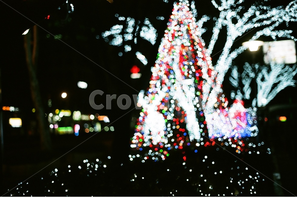 필름사진,야경,보케,풍경,대구,겨울,계절,winter,season,야경,밤,풍경,nightscape,night,landscape,기념일,축하,anniversary,congratulation,celebrate,celebration,메리크리스마스,성탄절,merry christmas,tree,나무,plant,식물,ornament,장식,christmas tree,크리스마스 트리