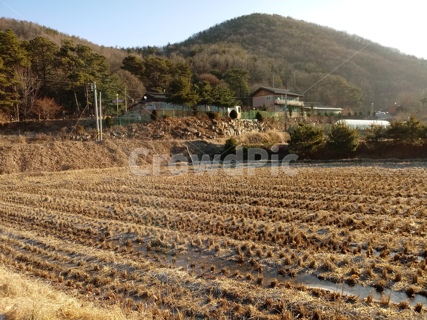 산,논,농촌,자연,옥외,nature,outdoors