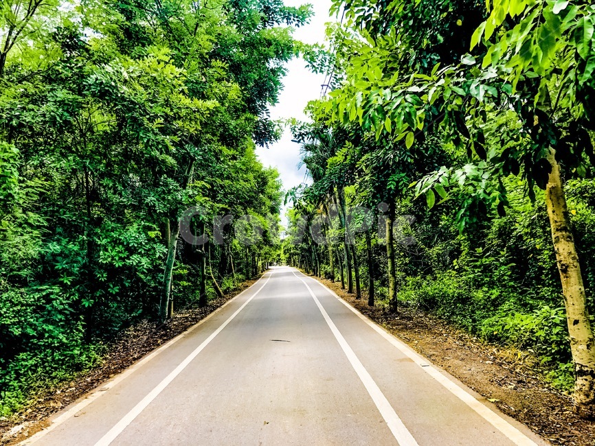 road,도로,highway,고속도로,freeway,산책,여름,태국,자전거도로,힐링,경치,풍경,자연,자연,풍경,nature,landscape,고속 도로