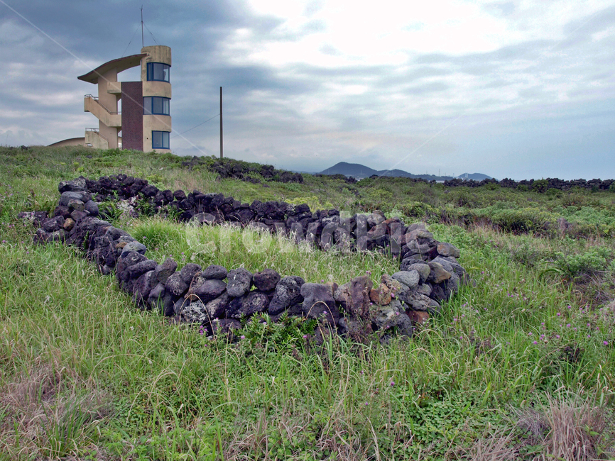 제주,올레19코스,올레길,무덤,돌담,전통,제주도,jeju,jeju island,ground,바닥,nature,자연