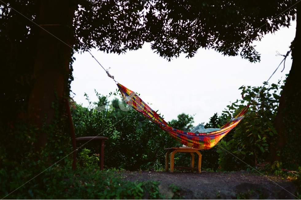 필름,제주,해먹,해질녘,감성,휴식,힐링,rest,relaxation,healing