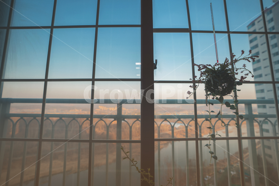 창,윈도우,창가,window,식물,화분,생명,식물,자연,plants,nature