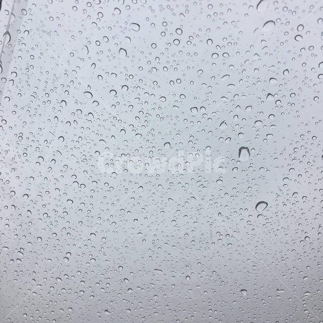 비,빗방울,빗자국,빗물,투명우산