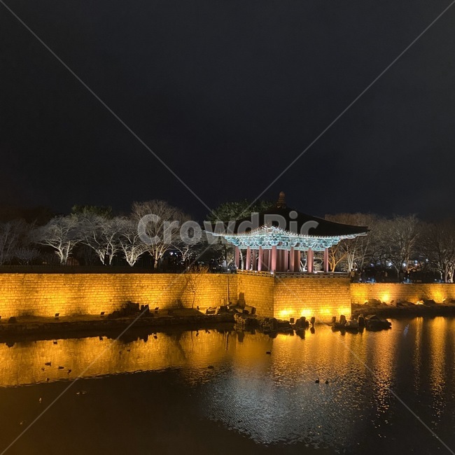 building,건물,건축물,경주,성