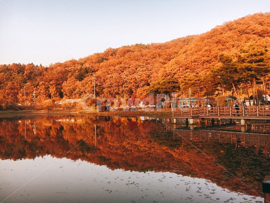 생태공원,습지,반사,강,풍경