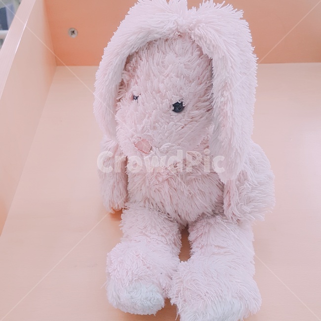 토끼인형,인형,토끼,분홍,분홍인형