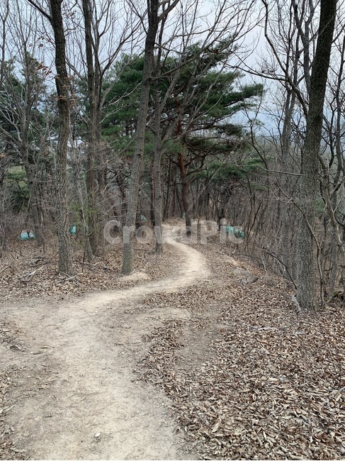 뒷산길,뒷산,가을산,가을풍경,오솔길,자연,풍경,nature,landscape,gravel,자갈,road,도로,dirt road,흙길,ground,바닥