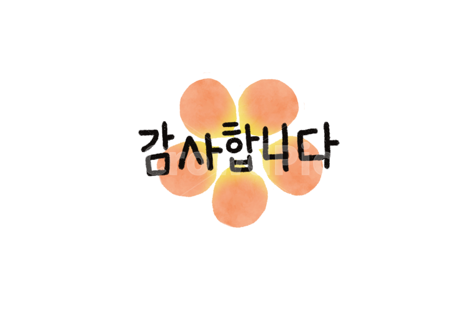 감사,감사합니다,캘리그라피,응원,문구,word,removebackground,꽃,누끼,remove background,캘리그라피,손글씨,calligraphy