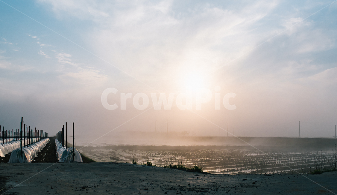 일몰,해무,시골,석양,해질녘,자연,풍경,nature,landscape,시골,마을,country,rural,town